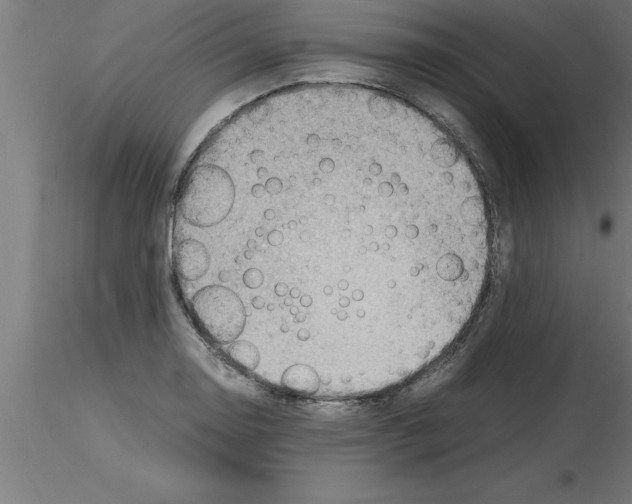 X0000115281130200912111220