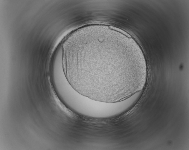 X0000115281131200912111220