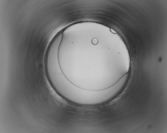 X0000115281133200912111220