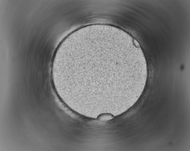 X0000115281134200912111220