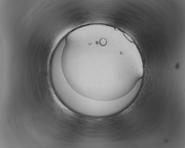 X0000115281135200912111220