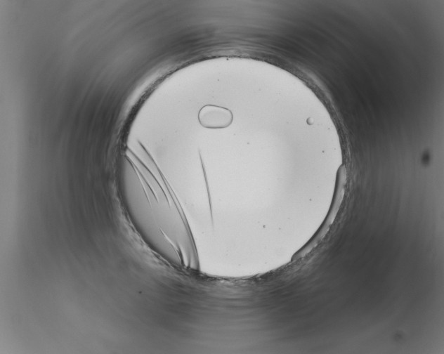 X0000115281138200912111220