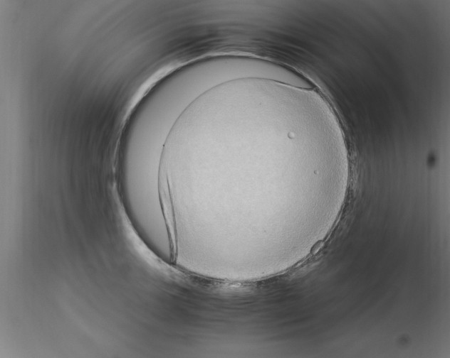 X0000115281139200912111220