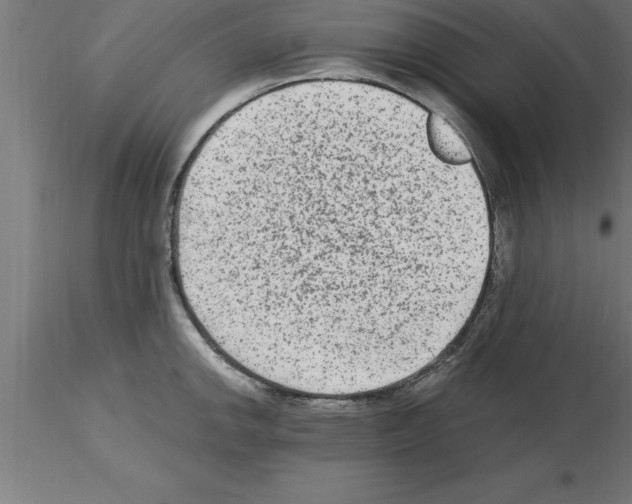 X0000115281142200912111220