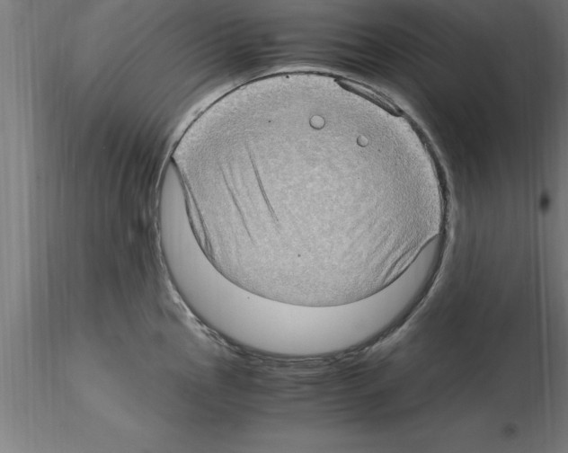 X0000115281145200912111220