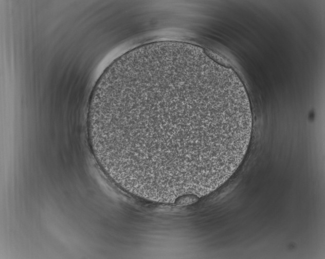 X0000115281146200912111220