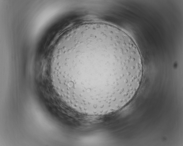 X0000115281150200912111220