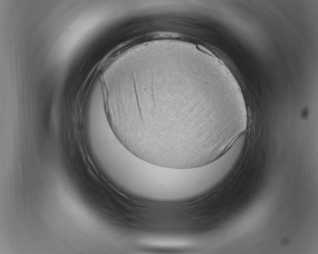 X0000115281151200912111220