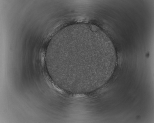 X0000115281154200912111220