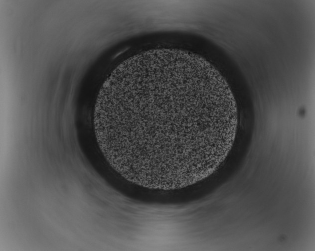 X0000115281155200912111220