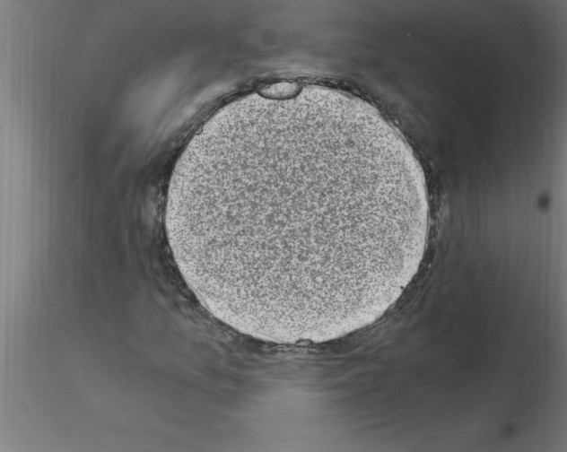 X0000115281157200912111220