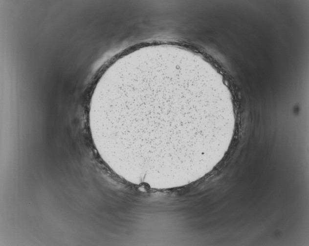 X0000115281160200912111219