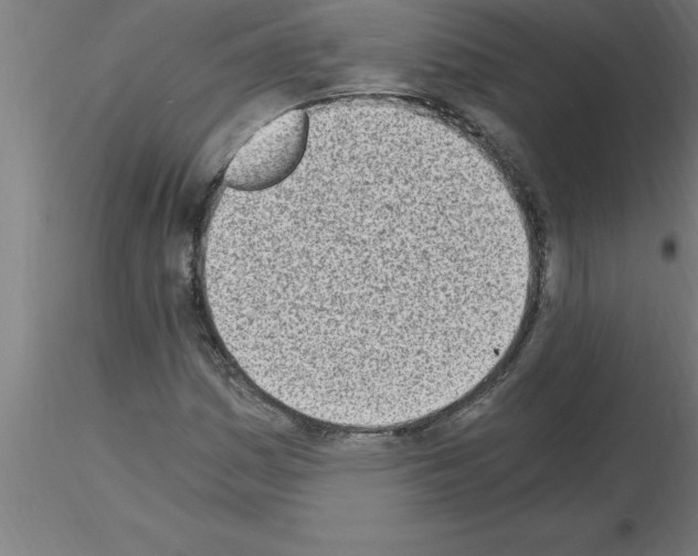 X0000115281161200912111219