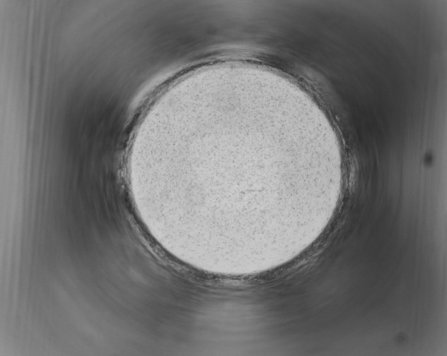 X0000115281164200912111219