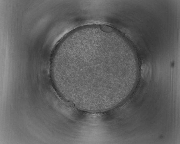 X0000115281165200912111219