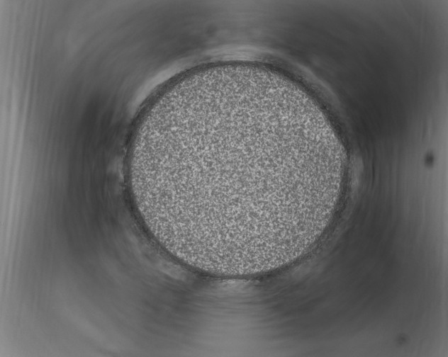 X0000115281166200912111219