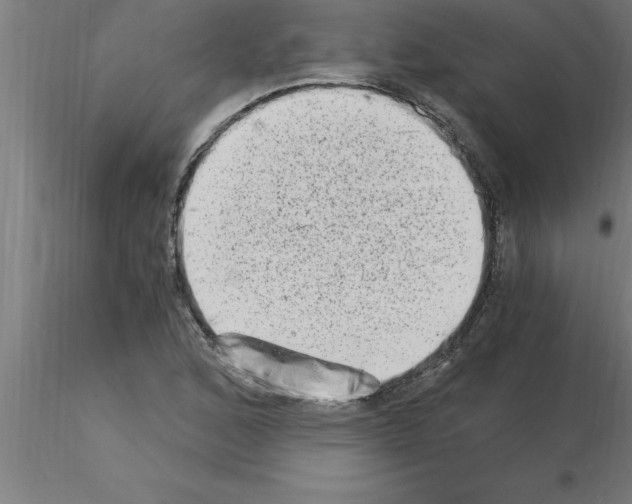 X0000115281168200912111219