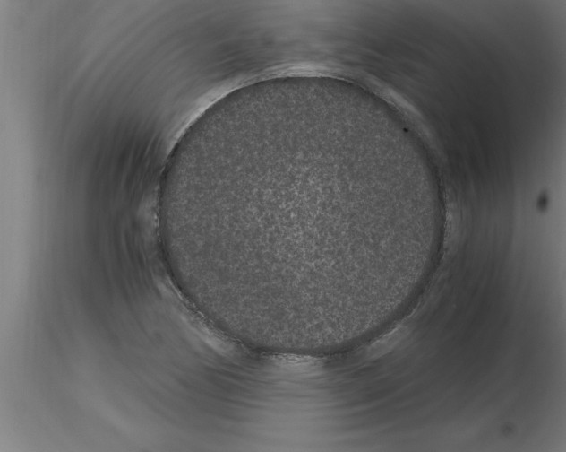 X0000115281170200912111219