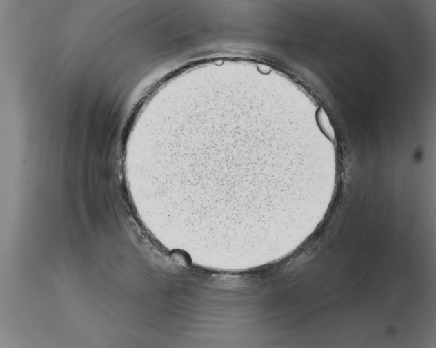 X0000115281172200912111219