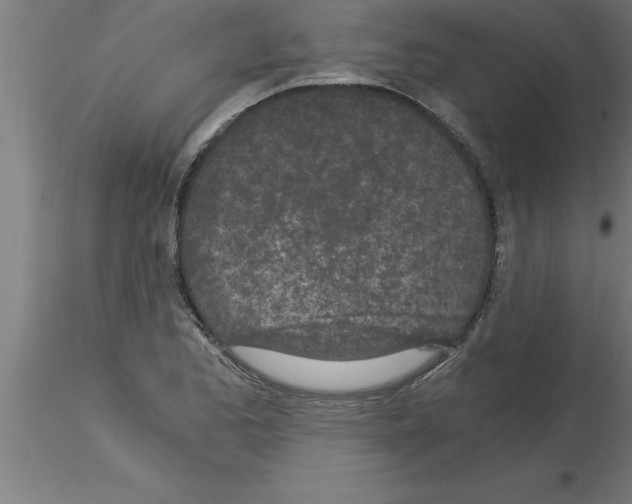 X0000115281173200912111219