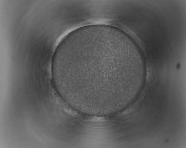 X0000115281174200912111219