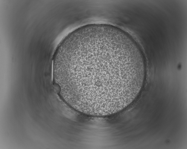 X0000115281175200912111219