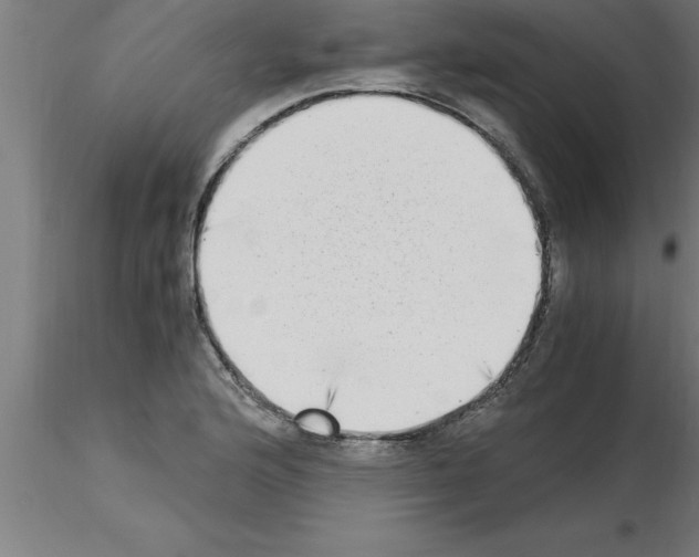 X0000115281176200912111219