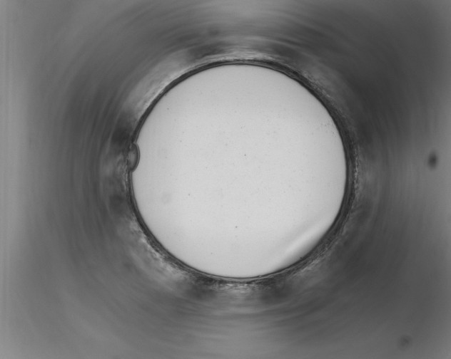 X0000115281177200912111219