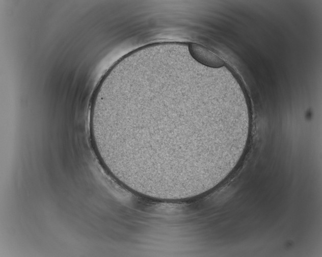 X0000115281179200912111219