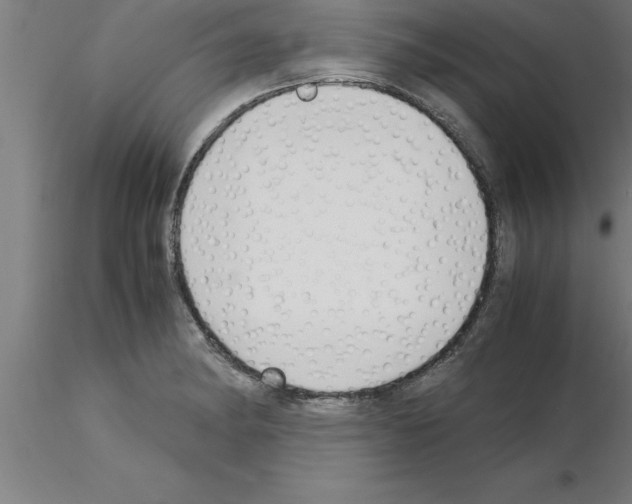 X0000115281182200912111219