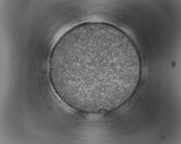 X0000115281183200912111219