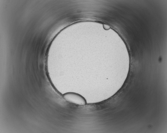 X0000115281187200912111219