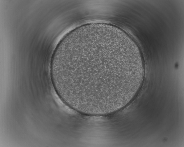 X0000115281189200912111219