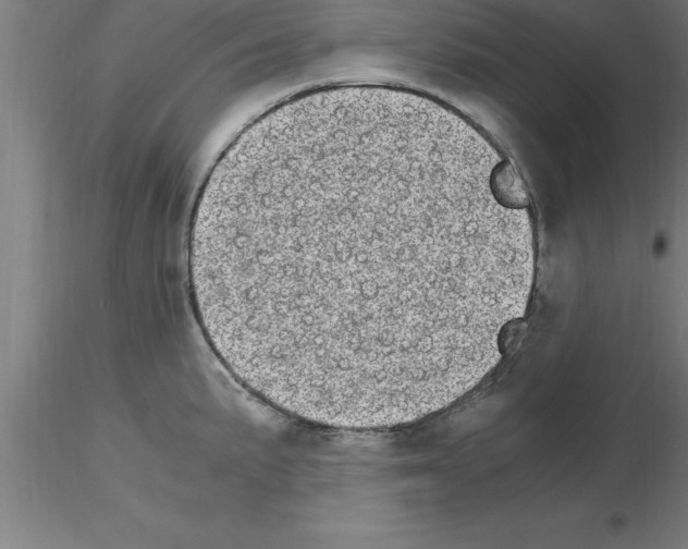 X0000115281191200912111219