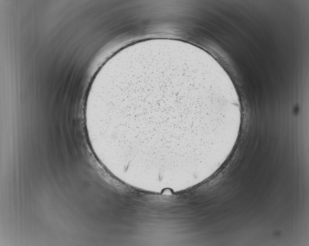 X0000115281192200912111219