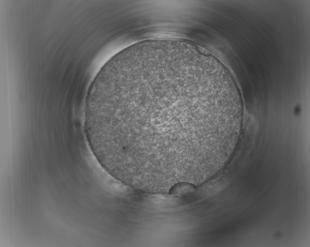 X0000115281195200912111219