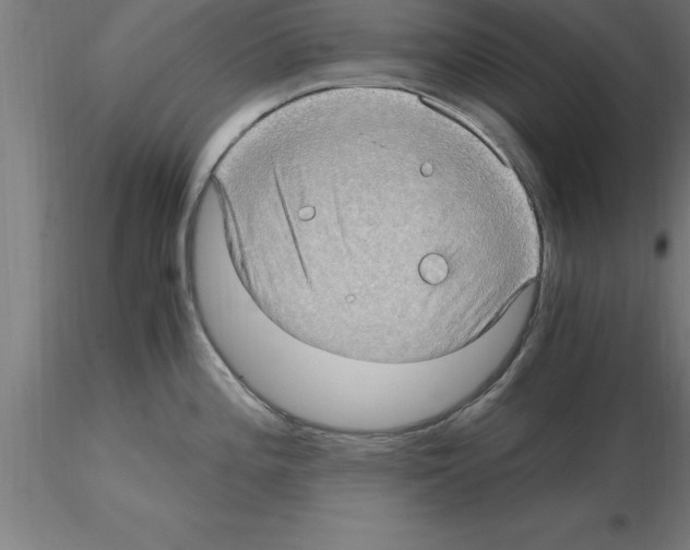 X0000115281196200912111219