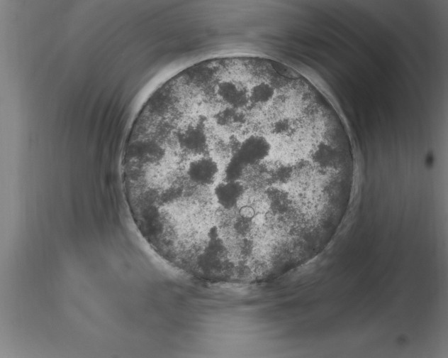 X0000115281197200912111219