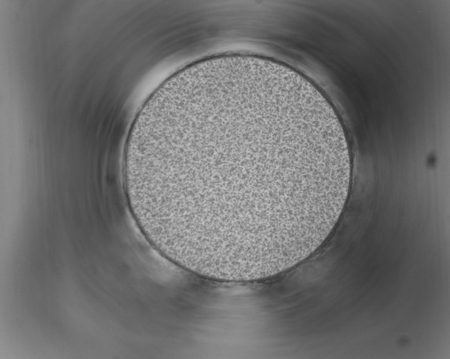 X0000115281199200912111219