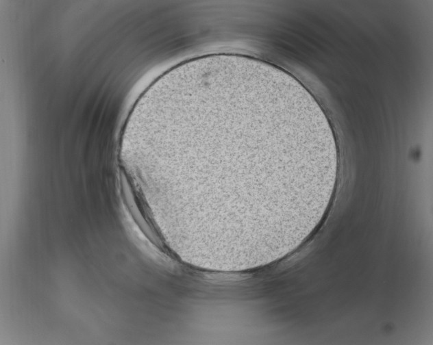 X0000115281200200912111219