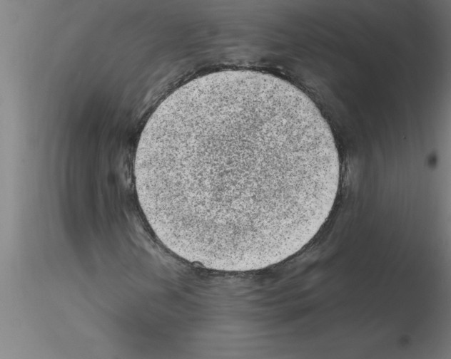 X0000115281202200912111218