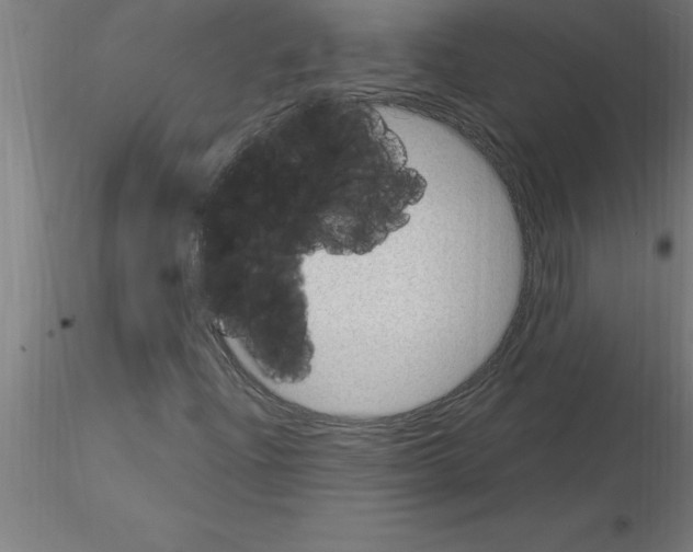 X0000115281204200912111218