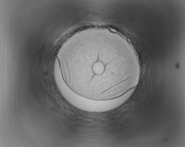 X0000115281205200912111218