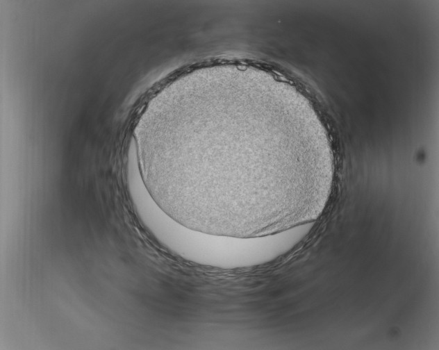 X0000115281207200912111218