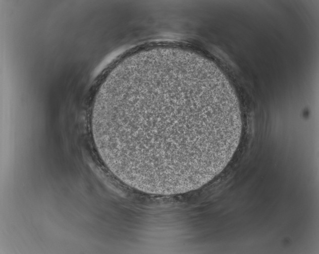 X0000115281208200912111218