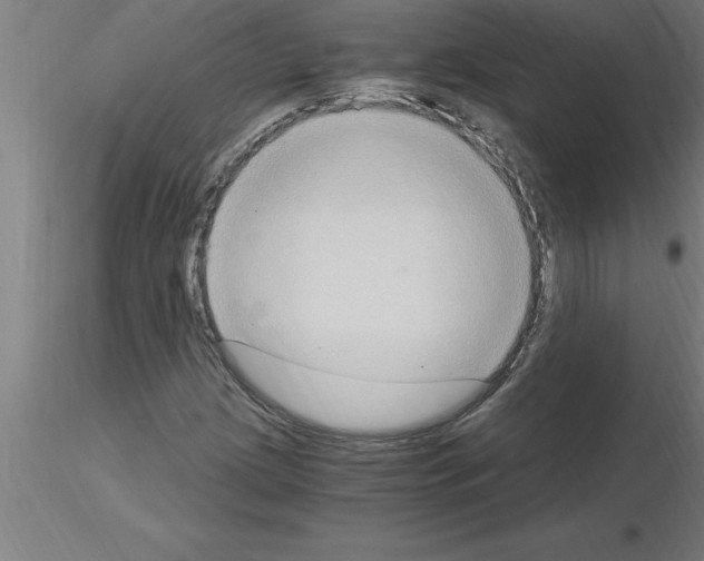 X0000115281209200912111218