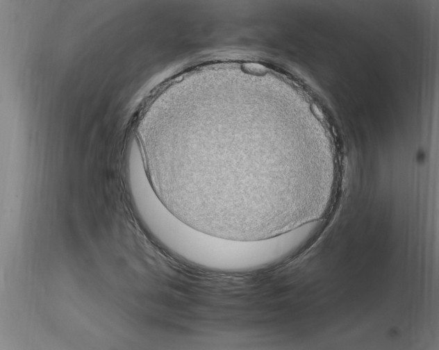 X0000115281213200912111218