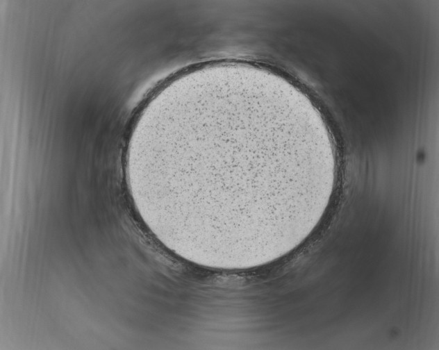 X0000115281214200912111218