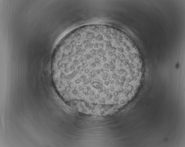 X0000115281216200912111218