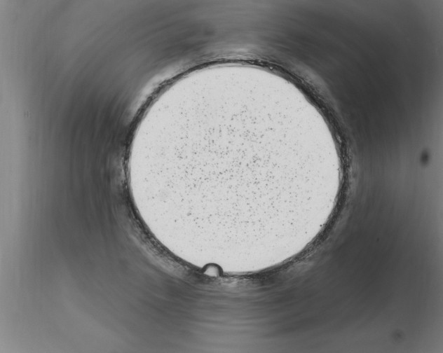 X0000115281218200912111219